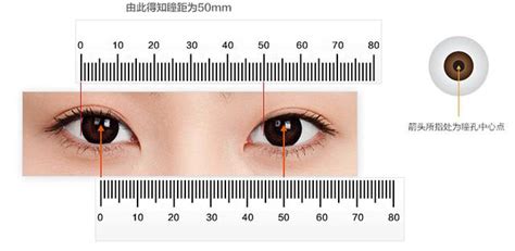瞳 距 測量